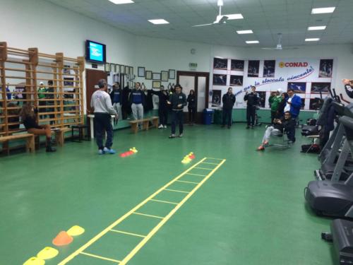 CMI - 2015